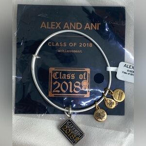 Alex and Ani Class of 2018 Two Tone EWB Rafaelian Silver Charm Bangle Bracelet